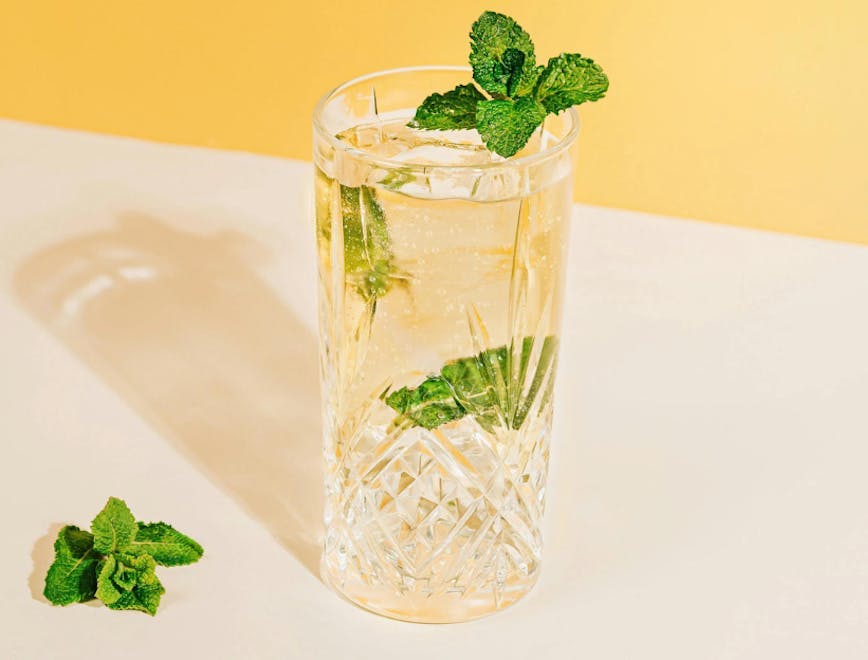 herbs plant mint alcohol beverage cocktail mojito soda