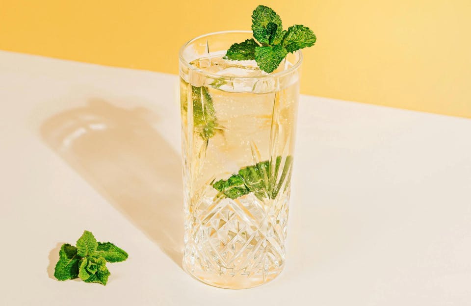 herbs plant mint alcohol beverage cocktail mojito soda