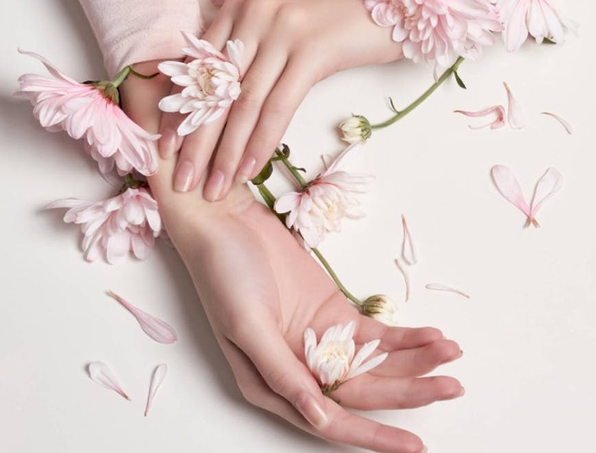 petal flower blossom plant person human manicure nail